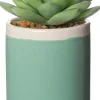 Intratuin Kunstpflanze Echiverie D 6 cm H 9 cm
