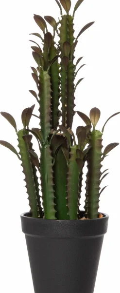 Intratuin Kunstpflanze Kaktus (Euphorbia ingens) braun D 10 cm H 36 cm