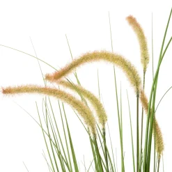 Intratuin Kunstpflanze Lampenputzergras D 32 cm H 60 cm