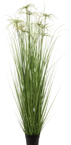 Intratuin Kunstpflanze Papyrus D 50 cm H 110 cm