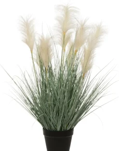 Intratuin Kunstpflanze Pampasgras D 55 cm H 80 cm