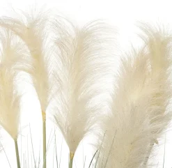 Intratuin Kunstpflanze Pampasgras D 55 cm H 80 cm