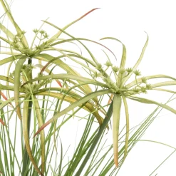 Intratuin Kunstpflanze Papyrus D 64 cm H 160 cm