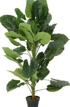 Intratuin Kunstpflanze Philodendron H 140 cm