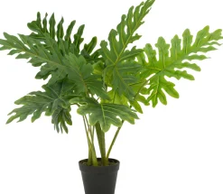 Intratuin Kunstpflanze Philodendron 'Xanadu' H 80 cm