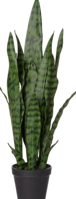 Intratuin Kunstpflanze Sansevieria D 13 H 43 cm
