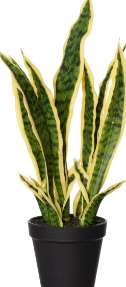 Intratuin Kunstpflanze Sansevieria gelb-bunt D 13 H 48 cm