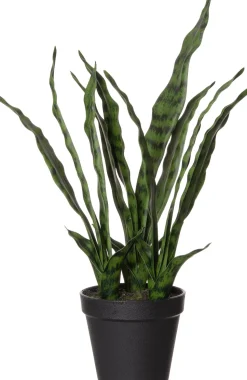 Intratuin Kunstpflanze Sansevieria D 15 H 61 cm