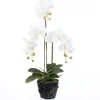 Intratuin Kunstpflanze Schmetteringsorchidee weiß 36 x 28 x 85 cm