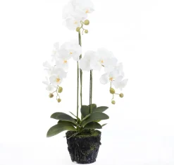 Intratuin Kunstpflanze Schmetteringsorchidee weiß 36 x 28 x 85 cm