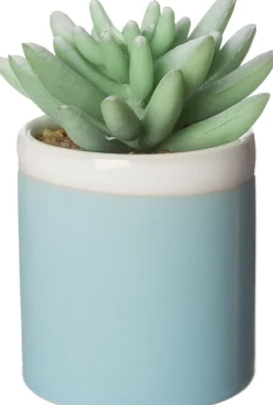 Intratuin Kunstpflanze Sedum D 6 cm H 9 cm