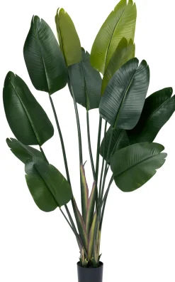 Intratuin Kunstpflanze Strelitzie grün D 80 H 180 cm
