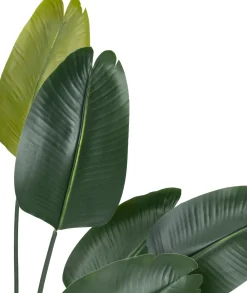 Intratuin Kunstpflanze Strelitzie grün D 80 H 180 cm