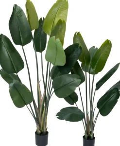 Intratuin Kunstpflanze Strelitzie grün D 80 H 140 cm