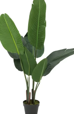 Intratuin Kunstpflanze Strelitzie H 120 cm