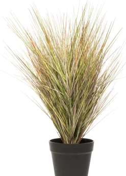 Intratuin Kunstpflanze Strandhafer D 40 cm H 56 cm