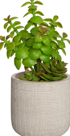 Intratuin Kunstpflanze Sukkulente grau D 9,5 cm H 23 cm