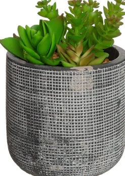 Intratuin Kunstpflanze Sukkulente grau D 9,5 cm H 16 cm