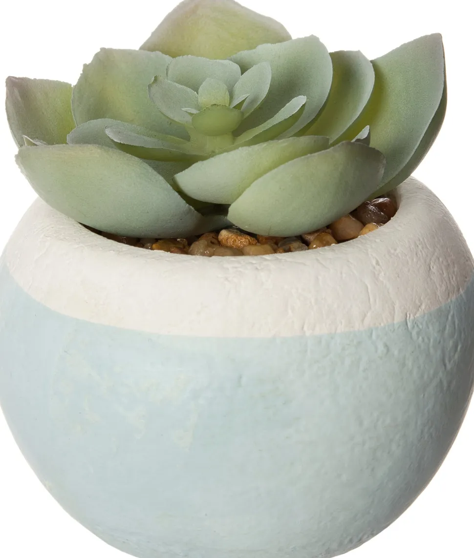 Intratuin Kunstpflanze Sukkulente D 6 cm H 9 cm