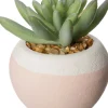 Intratuin Kunstpflanze Sukkulente D 6 cm H 6 cm
