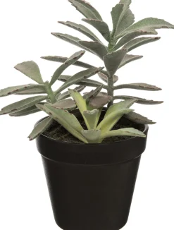 Intratuin Kunstpflanze Sukkulente grün 23 cm