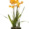 Intratuin Kunstpflanze Tigerorchidee gelb D 17 cm H 75 cm