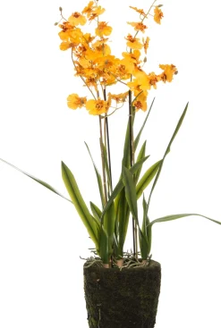 Intratuin Kunstpflanze Tigerorchidee gelb D 17 cm H 75 cm