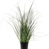 Intratuin Kunstpflanze Ziergras D 17 cm H 32 cm