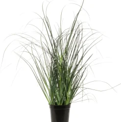 Intratuin Kunstpflanze Ziergras D 17 cm H 32 cm