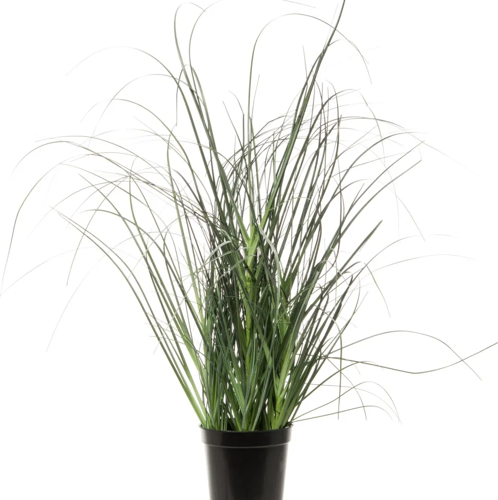 Intratuin Kunstpflanze Ziergras D 17 cm H 32 cm