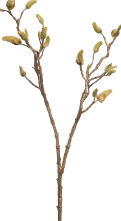 Intratuin Kunstzweig Magnolie mit Knospen H 87 cm