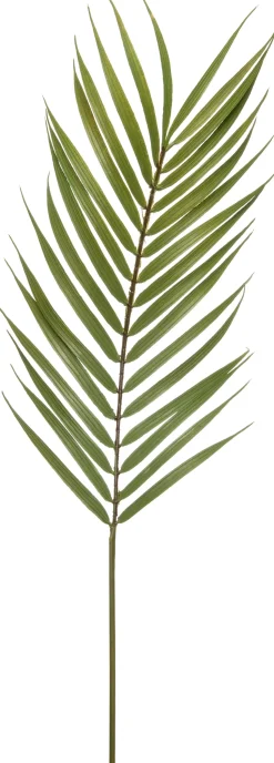 Intratuin Kunstzweig Palme H 75 cm