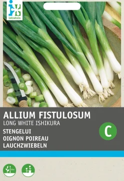 Intratuin Lauchzwiebel (Allium fistulosum 'Ishikura') Samen