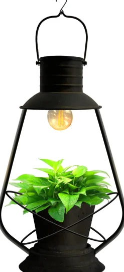 Intratuin LED Solarleuchte für Pflanze 22 x 16 x 37 cm
