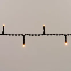 Intratuin Lichterkette 2 m mit 40 Reiskorn-LEDs warmweiß