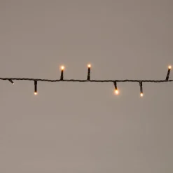 Intratuin Lichterkette schwarz 4 m mit 80 Reiskorn-LEDs klassisch warm