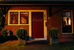 Intratuin Lichternetz für Buxus mit 100 LEDs warmweiß D 90 cm