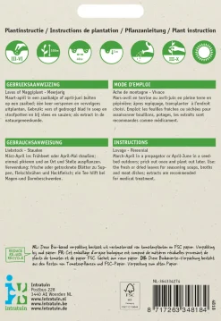 Intratuin Liebstöckel / Maggikraut (Levisticum officinalis) Samen