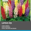 Intratuin Lupine (Lupinus) Blumenzwiebel-Mischung 10 St.