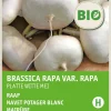 Intratuin Mairübe (Brassica rapa 'Platte Witte Mei') (BIO) Samen