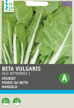 Intratuin Mangold (Beta vulgaris 'Gelber') Samen
