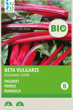 Intratuin Mangold (Beta vulgares 'Rhubard Chard') (BIO) Samen