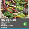 Intratuin Mangold (Beta vulgares 'Bright Lights') Samen