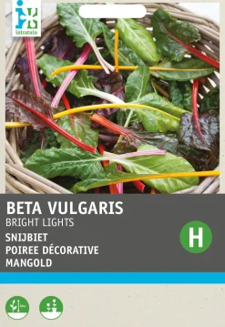 Intratuin Mangold (Beta vulgares 'Bright Lights') Samen