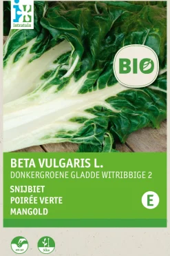 Intratuin Mangold (Beta vulgaris 'White Silver') (BIO) Samen