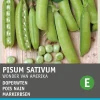 Intratuin Markerbsen (Pisum Sativum 'Wonder van Amerika') Samen