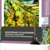 Intratuin Mediterrane Pflanzenerde 45 l
