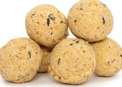 Intratuin Meisenknödel ohne Netz 6 St.