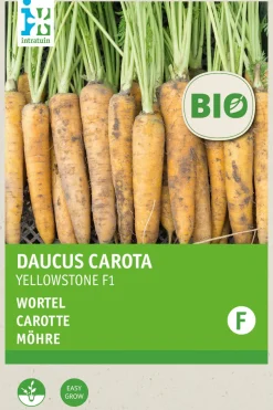 Intratuin Möhre (Daucus carota 'Yellowstone') (BIO) Samen