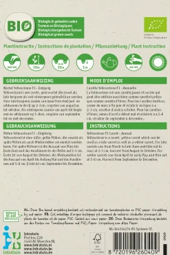 Intratuin Möhre (Daucus carota 'Yellowstone') (BIO) Samen